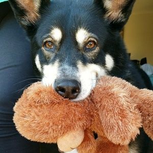 Meet your Posher, Deanna